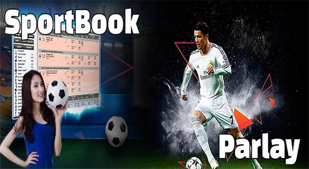 Aplikasi Mobile Sapi138